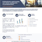 Voorbeeld teaser Company Brokers